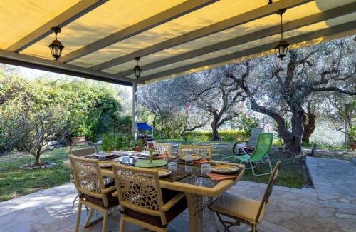 Artallo Villa | Villa Villa degli Ulivi by Interhome
