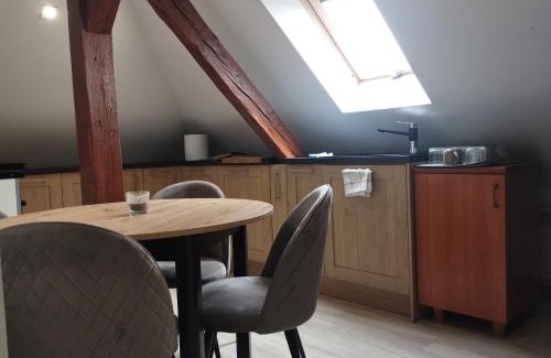 Gniezno Apartamento | Villa Vip Apartament Pokoje