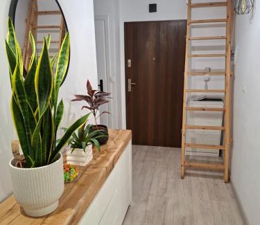 Gniezno Apartamento | Villa Vip Apartament Pokoje