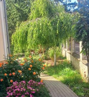 Marianske Lazne Hotel | Villa Walir - Spa Hotel Garni SUPERIOR