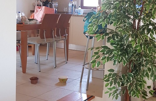 Aldeia dos Palheiros Villa | Villa con piscina en la región de Ourique 9 personas 4 habitaciones