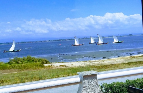 Torreira Villa | Villa con piscina en la playa de Torreira, que se encuentra a lo largo del estuario.