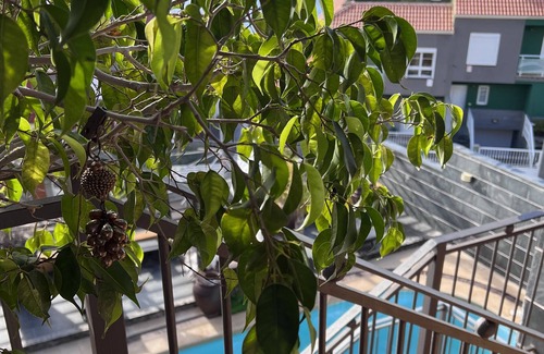 El Rosario Villa | Villa con piscina privada, WIFI y BBQ