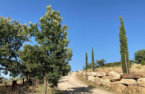 Grosseto Villa | Villa with Private Swimming Pool, Garden and Barbecue