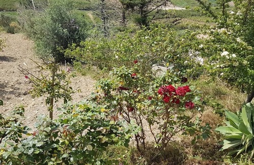 Realmonte Casa | Scala dei Turchi villa