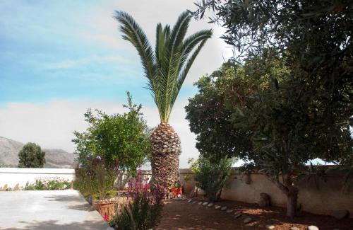 Pilalimata Apartamento | Villa Xenia