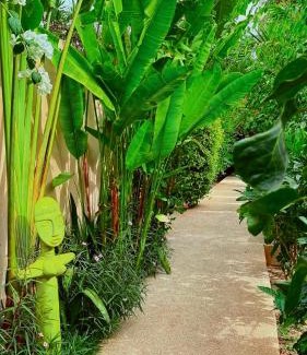 Saly Petite Cote Cama Y Desayuno | Villa YEMAYA - Villa d'hôtes