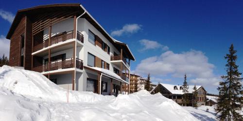 Yllas Apartamento | Villa Ylläs 101