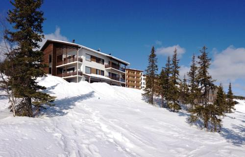 Yllas Apartamento | Villa Ylläs 101
