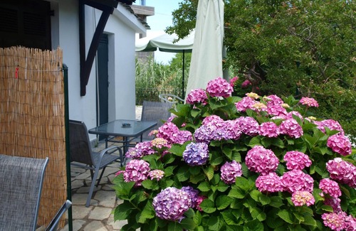 Agios Dimitrios Apartamento | Villa Zina Studio 3 Pelion