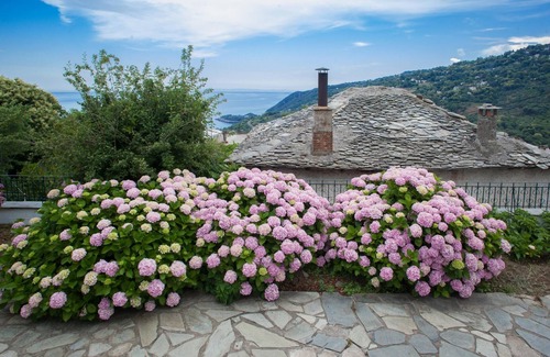 Agios Dimitrios Apartamento | Villa Zina Studio 3 Pelion