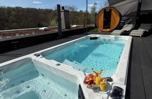 Vaihingen an der Enz Casa | VILLAFINE - Exclusive villa with pool & sauna in Vaihingen an der Enz