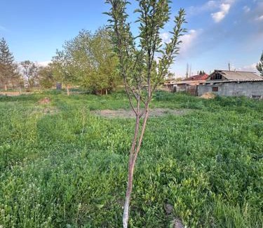 Chuy Province Casa | Village house