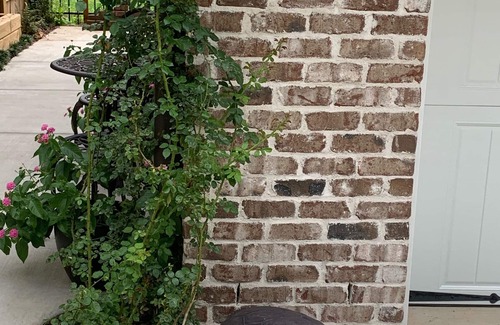 Davidson Apartamento | Village Studio -Five minute walk to campus: 12 mins. to town