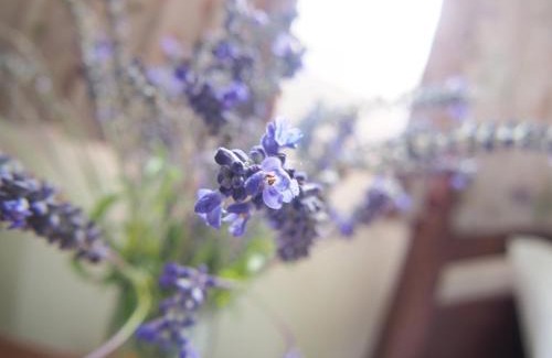 Ji'an Casa | Village Tree B&B
