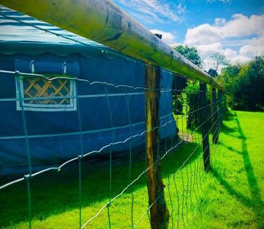 Bethania Otro | 'Villager' the Yurt at Pentref Luxury Camping