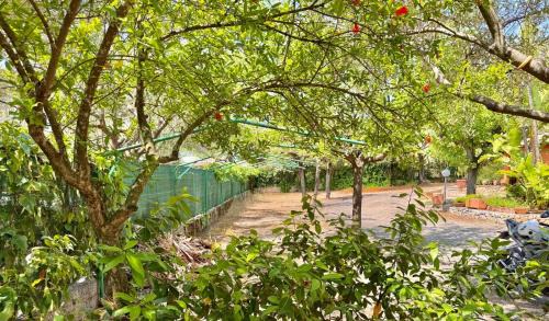 Marina Di Camerota Cama Y Desayuno | Villaggio Alberghiero Da Pepé
