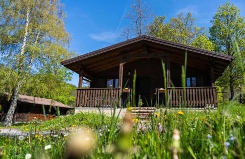 Sillano Giuncugnano Casa | Villaggio Anemone Chalet Scoiattolo