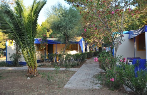 Mandrione Alquiler De RV | Villaggio Capo Vieste Camping