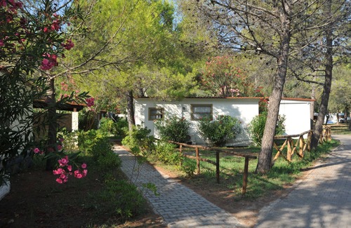 Mandrione Alquiler De RV | Villaggio Capo Vieste Camping