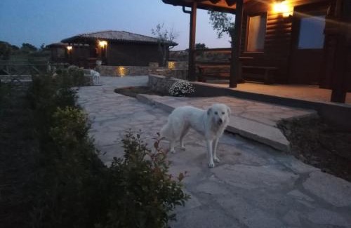 Carlentini Casa | Villaggio San Demetrio