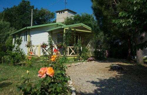 Scarlino Complejo | Villaggio Turistico Camping Il Fontino