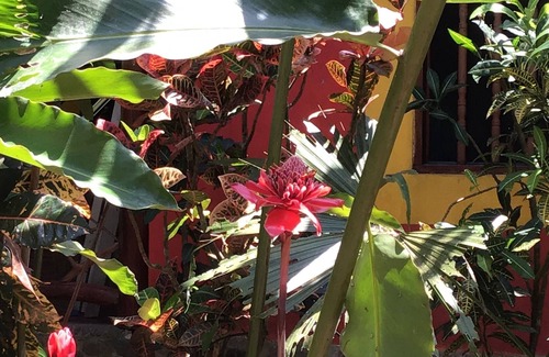 Portalón Casa | Villas in Paradise