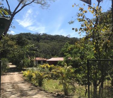 Samara Casa | Villas jungle 5