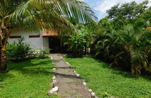 Samara Casa | Villas jungle 5
