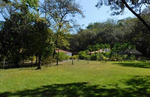 Samara Casa | Villas jungle 5