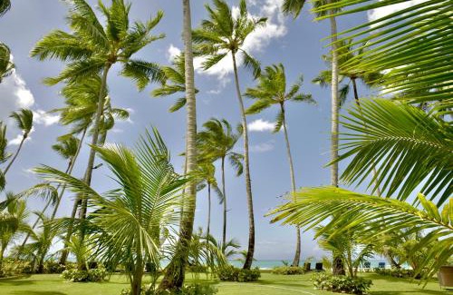 Las Terrenas Villa | Villas Maranata Complex 5 Villas 3Brd FrontBeach