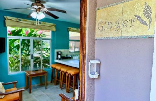 Tarcoles Hotel | Villas Serendipity