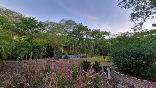 Samara Casa | Villasjungle 1