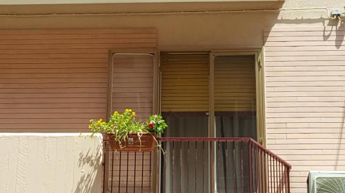 Mola di Bari Apartamento | Vilmahouse