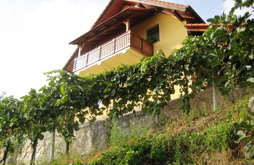 Srednje Grcevje Casa | Vineyard cottage Ucman