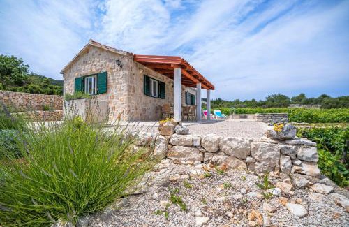 Kneza Casa | Vineyard House & Olive Grove House