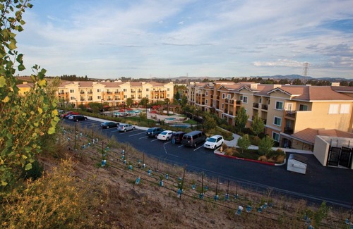 Napa Apartamento | Vino Bello next to Meritage Resort "Taste of Napa". 2 Double Beds, Sleeps 4.