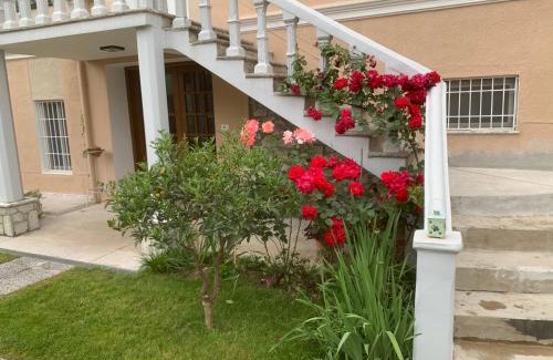 Shkoder Cama Y Desayuno | Vintage Villa