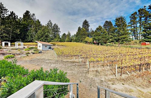 Freestone Casa | Vinyard Cottage