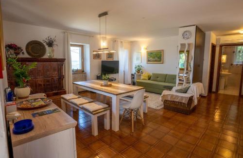 Socerb Apartamento | Violet's Place