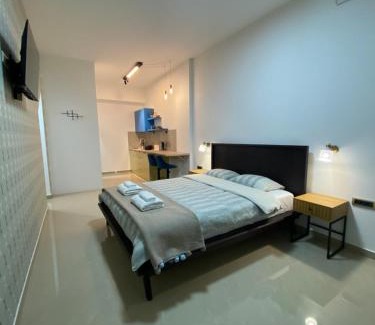 Valjevo Apartamento | Viridian Three Accommodation, Studio 2