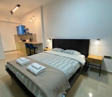 Valjevo Apartamento | Viridian Three Accommodation, Studio 2