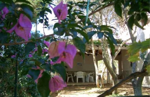 Rukavac Apartamento | Vis Apartments