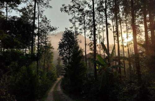 Vastare Casa | Vishwas Homestay - Mountain view and trekking