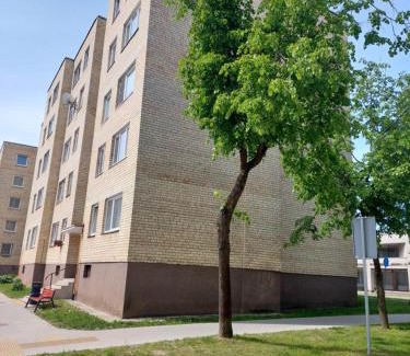 Siauliai City Center Apartamento | Visinskio apartamentai