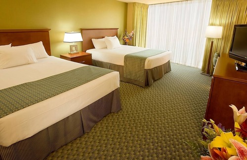 Laughlin Casa | Visit The Mojave Desert! Nevadas Natural Wonders Minutes From Your Door