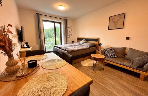 Rokytnice nad Jizerou Apartamento | Vista 14