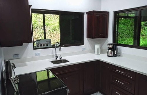 Tronadora Apartamento | Amazing Villa at Lake Arenal 1