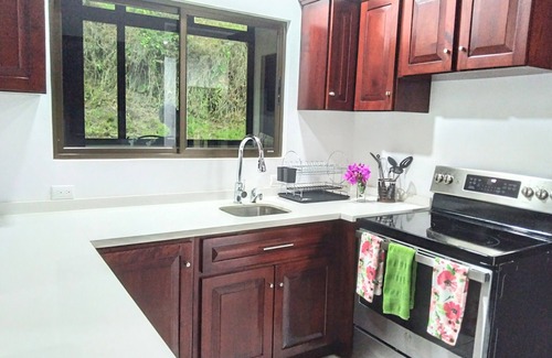 Tronadora Apartamento | Amazing Villa at Lake Arenal 2