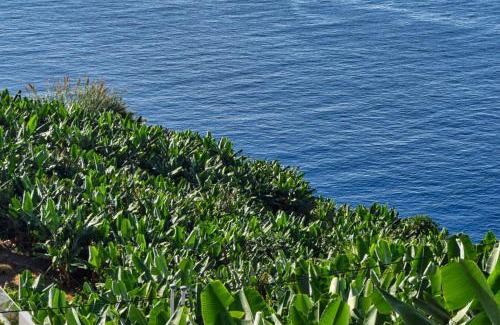 Ponta do Sol Apartamento | Vista Mar, a Home in Madeira